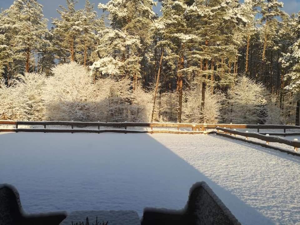 Kaszuby W Ostoja Bukowo - U Malgoski Domek 6 Z Widokiem Na Las I Internetem Borowy Mlyn Exterior foto