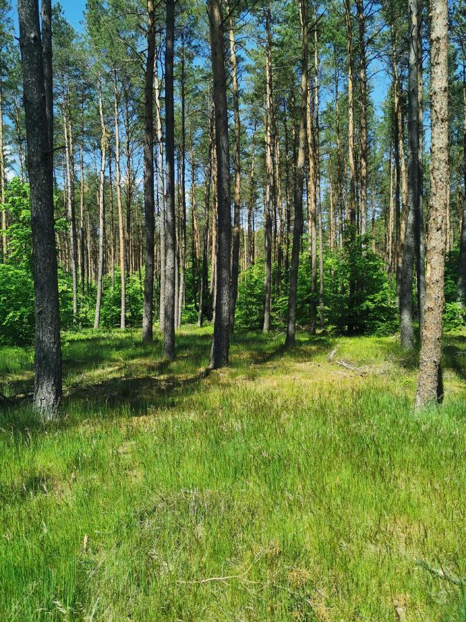 Kaszuby W Ostoja Bukowo - U Malgoski Domek 6 Z Widokiem Na Las I Internetem Borowy Mlyn Exterior foto