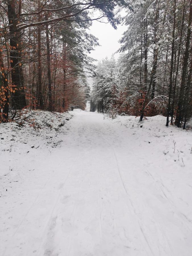 Kaszuby W Ostoja Bukowo - U Malgoski Domek 6 Z Widokiem Na Las I Internetem Borowy Mlyn Exterior foto