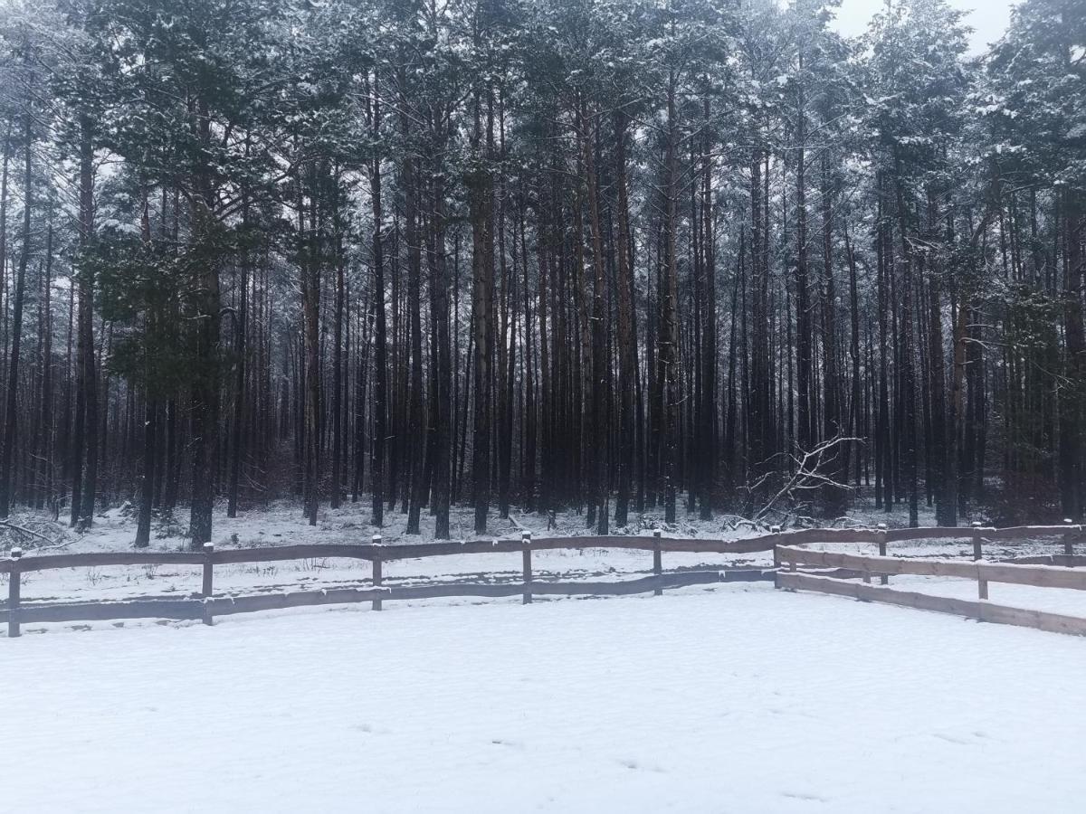 Kaszuby W Ostoja Bukowo - U Malgoski Domek 6 Z Widokiem Na Las I Internetem Borowy Mlyn Exterior foto