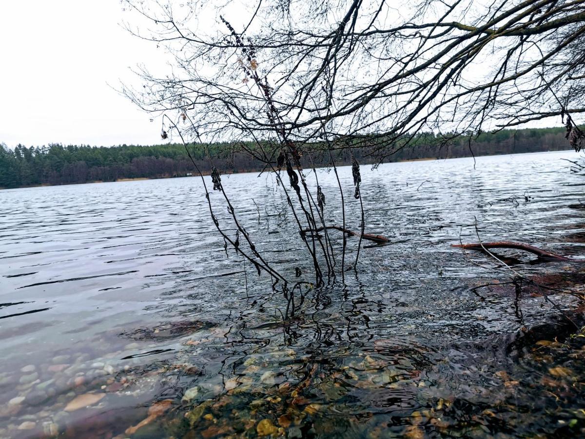 Kaszuby W Ostoja Bukowo - U Malgoski Domek 6 Z Widokiem Na Las I Internetem Borowy Mlyn Exterior foto