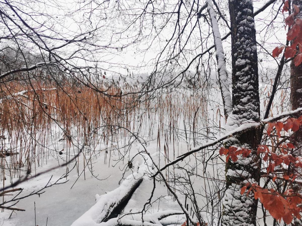 Kaszuby W Ostoja Bukowo - U Malgoski Domek 6 Z Widokiem Na Las I Internetem Borowy Mlyn Exterior foto