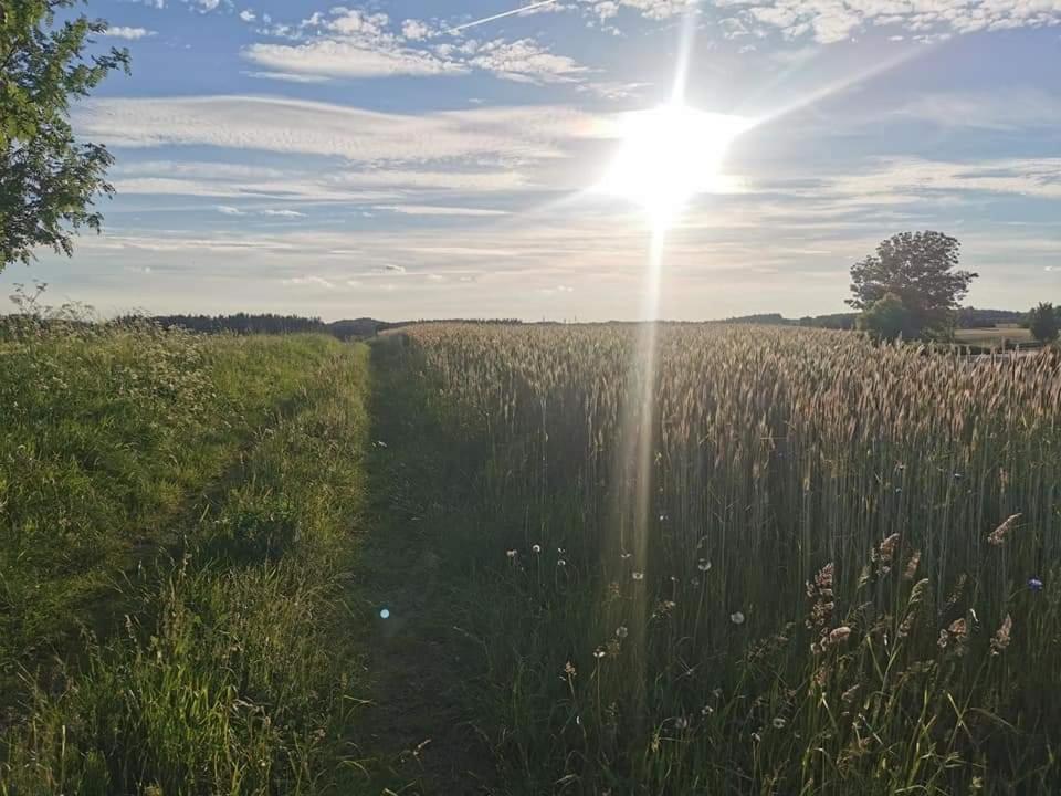 Kaszuby W Ostoja Bukowo - U Malgoski Domek 6 Z Widokiem Na Las I Internetem Borowy Mlyn Exterior foto